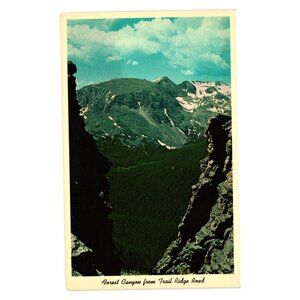 Forest Canyon Trail Ridge Road Rocky Mountain National Park Vintage Postcard